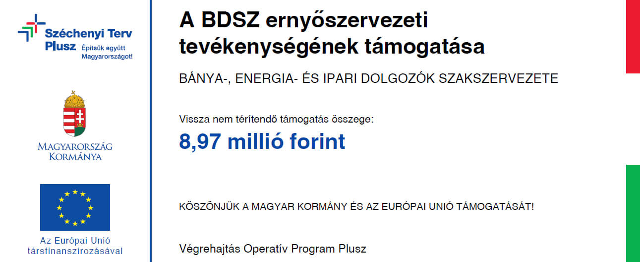 A BDSZ ernyőszervezeti tevékenységének támogatása